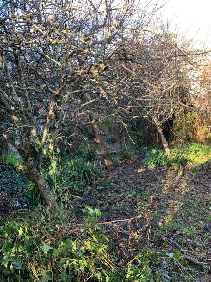 Villa Walcott Hereford Esterno foto